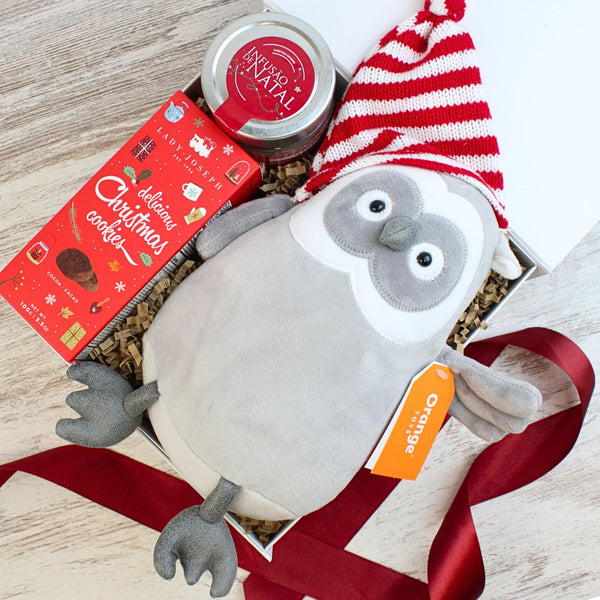 Festive Owl Cozy Set