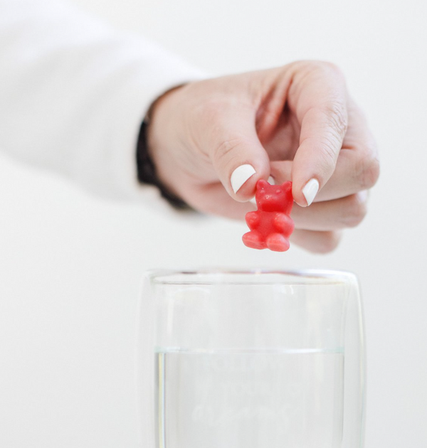 Ursinhos de Chá "Christmas Wishes"