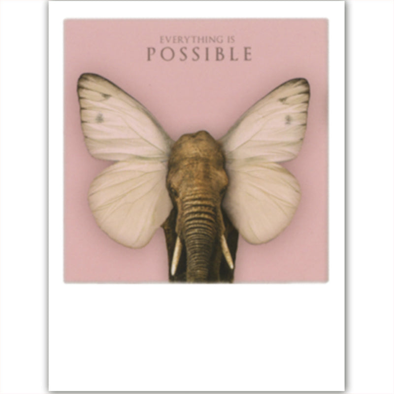 Polaroid Elephant Butterfly