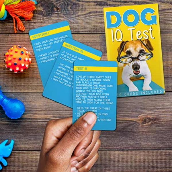 Dog IQ Test Trivia